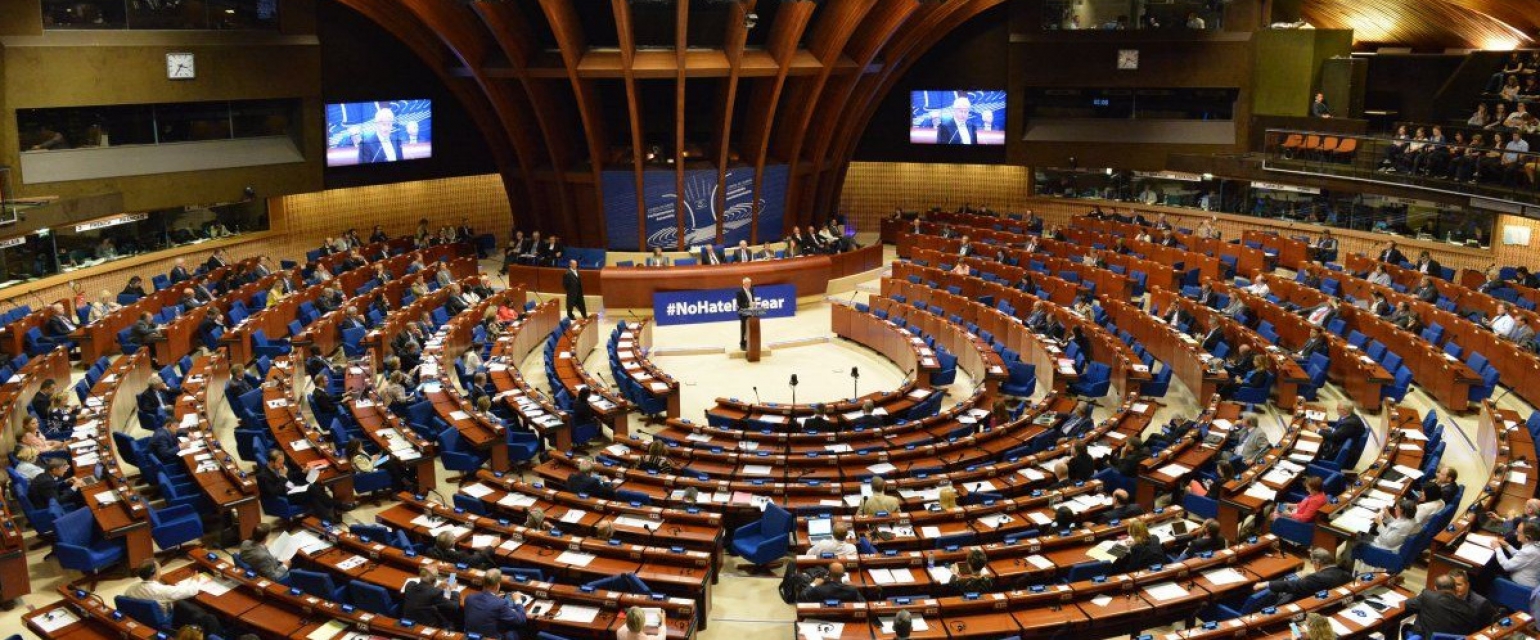 Грузинская делегация уклонилась от голосования по украинским резолюциям ПАСЕ