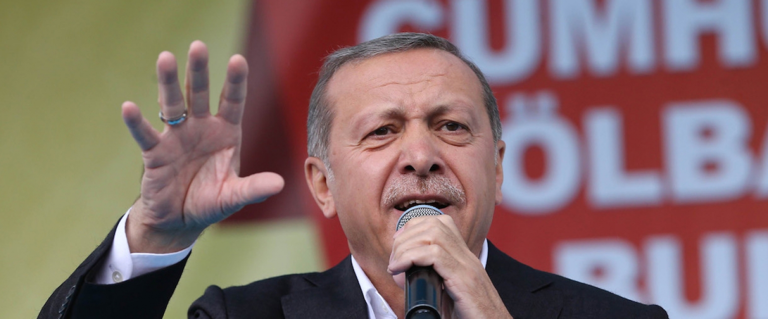 Итоги парламентских выборов-2015 в Турции и их значение для России