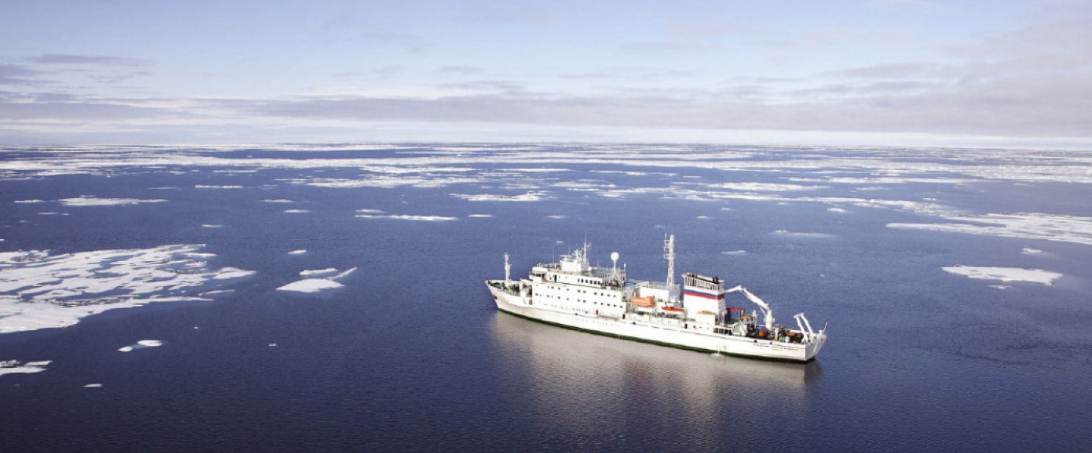 Разногласия в Арктическом совете грозят подрывом сотрудничества в Арктике